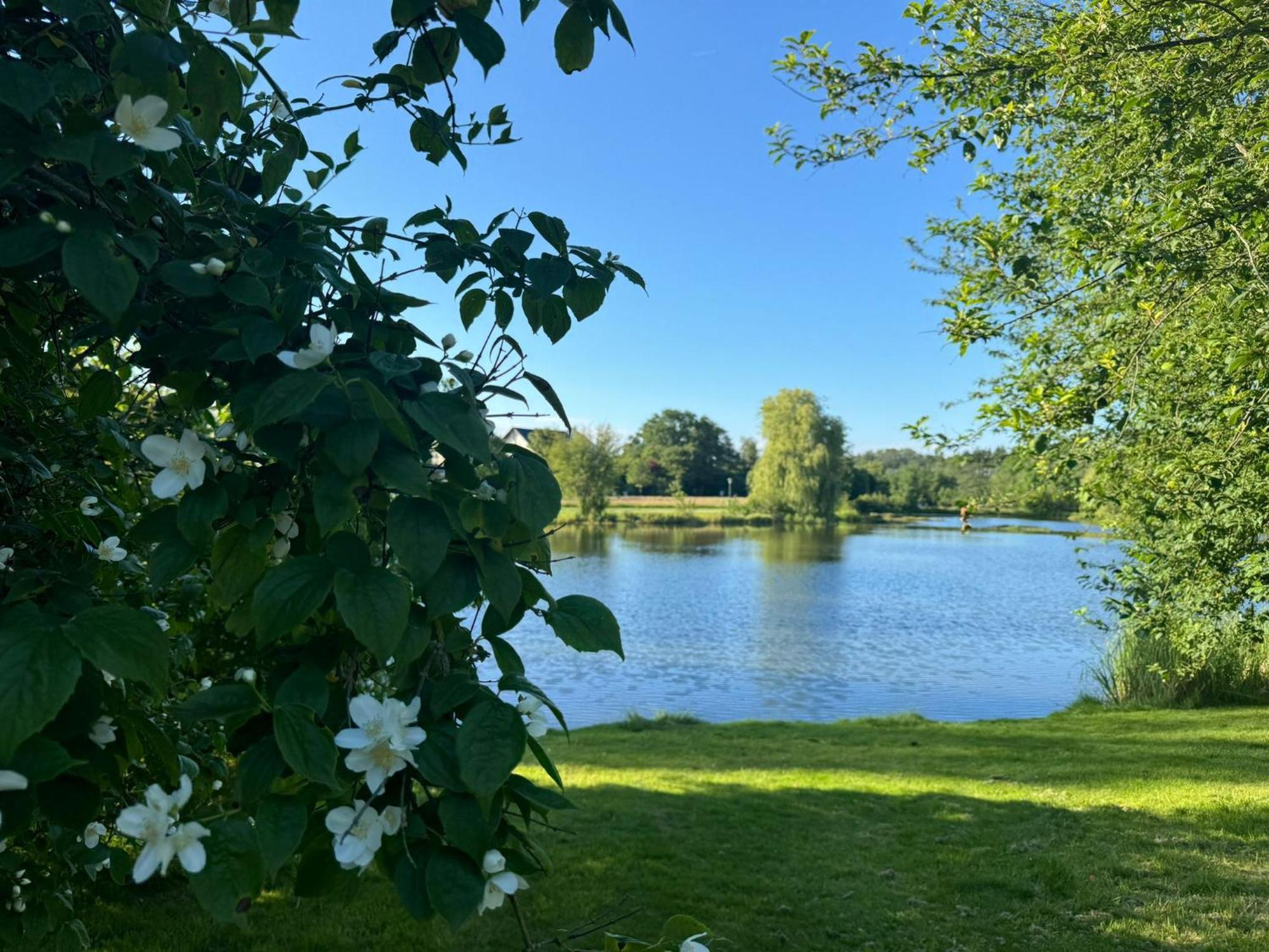 Schloss Hotel Kastellaun Exteriör bild